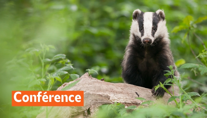* NOUVEAU * Journée de la pomme 2025 : conférence sur la biodiversité